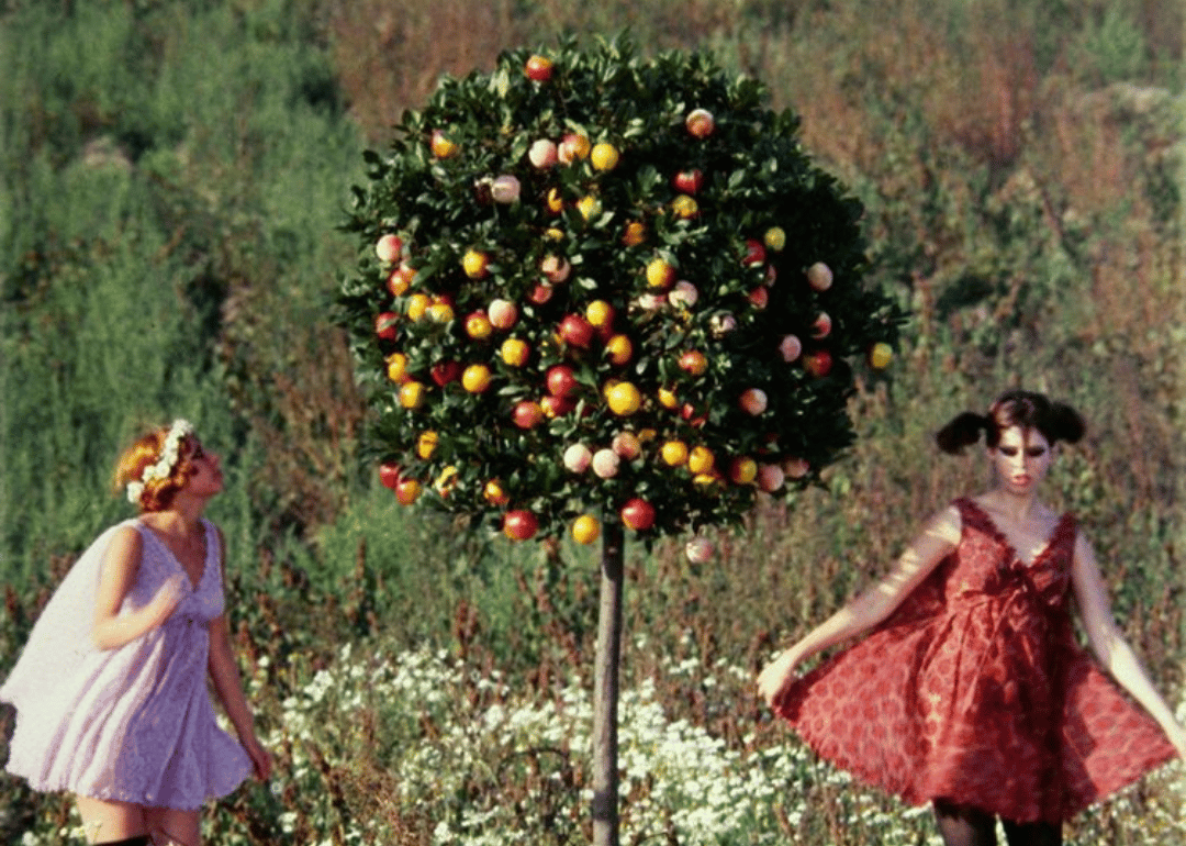 #6. Daisies (1966)
