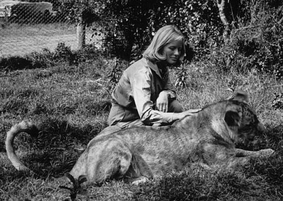 1966: Born Free