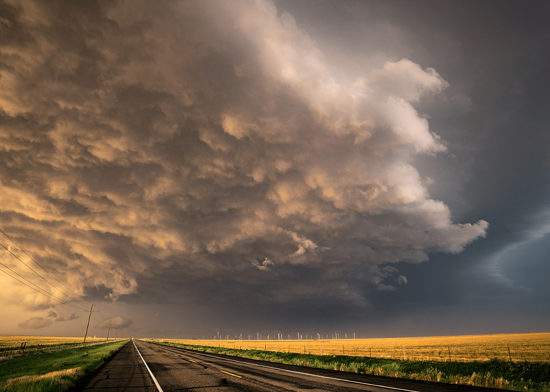 #36. Texas