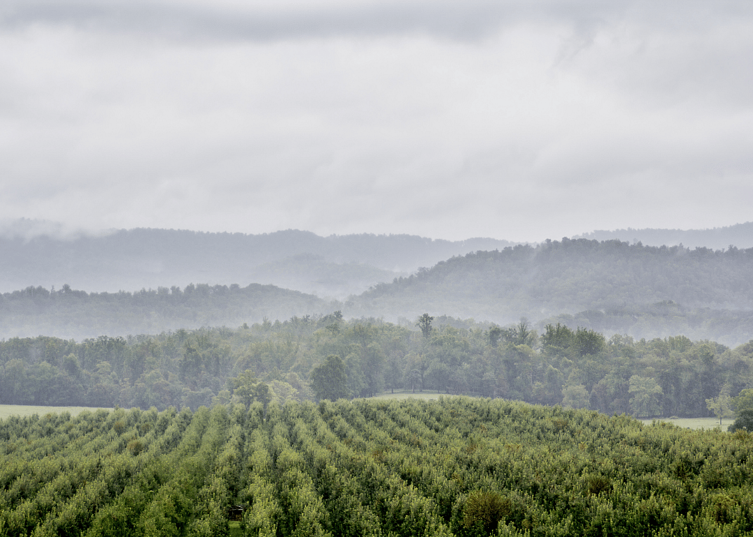 #10. Virginia