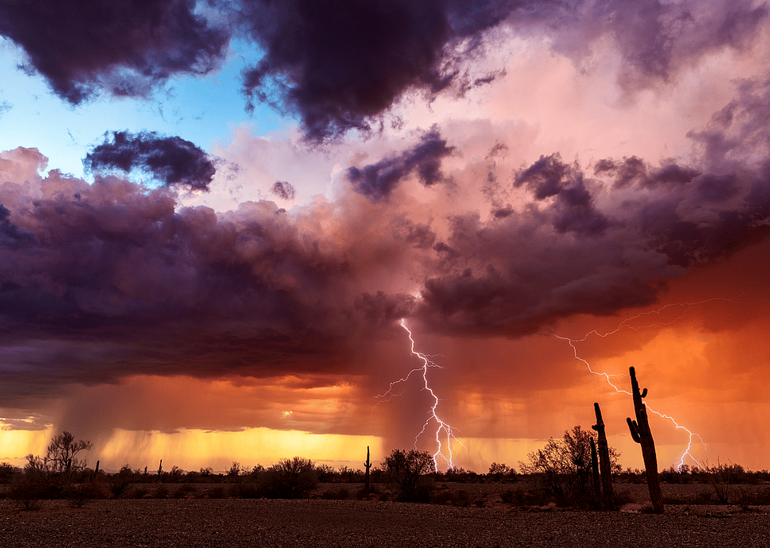 #44. Arizona