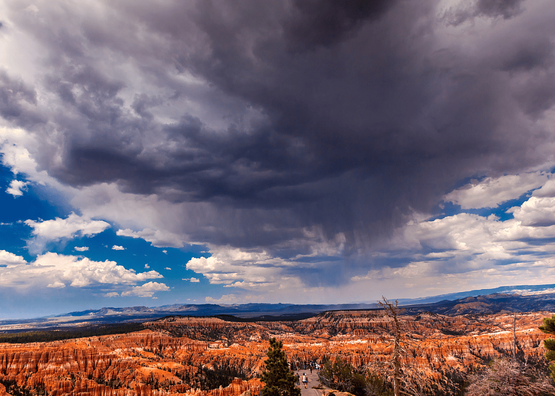 #46. Utah
