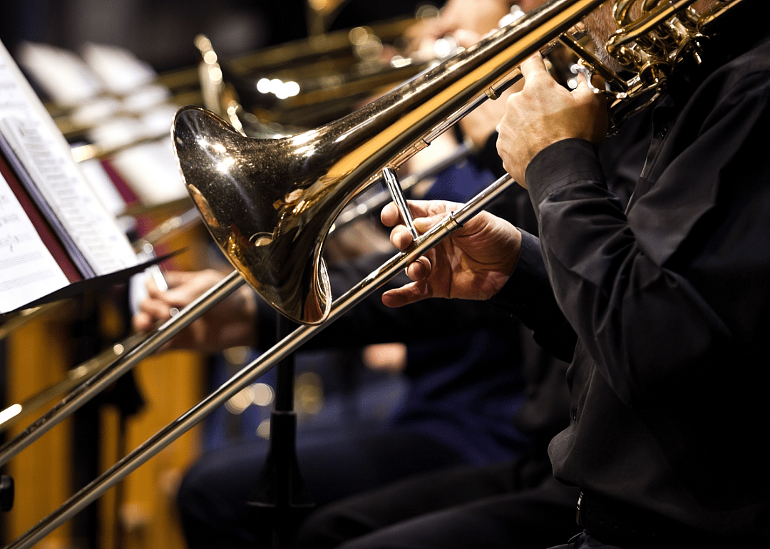 #29. Musicians, Instrumental