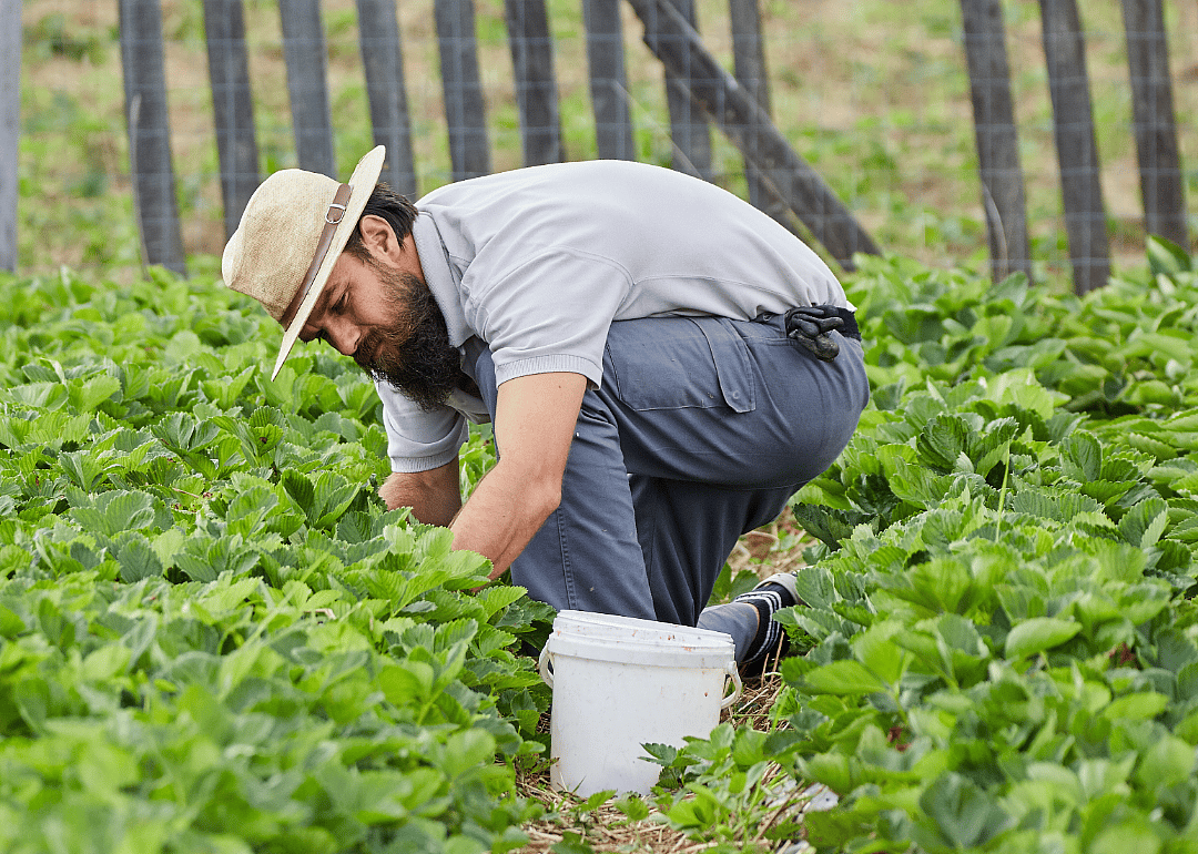 #6. Farm Labor Contractors