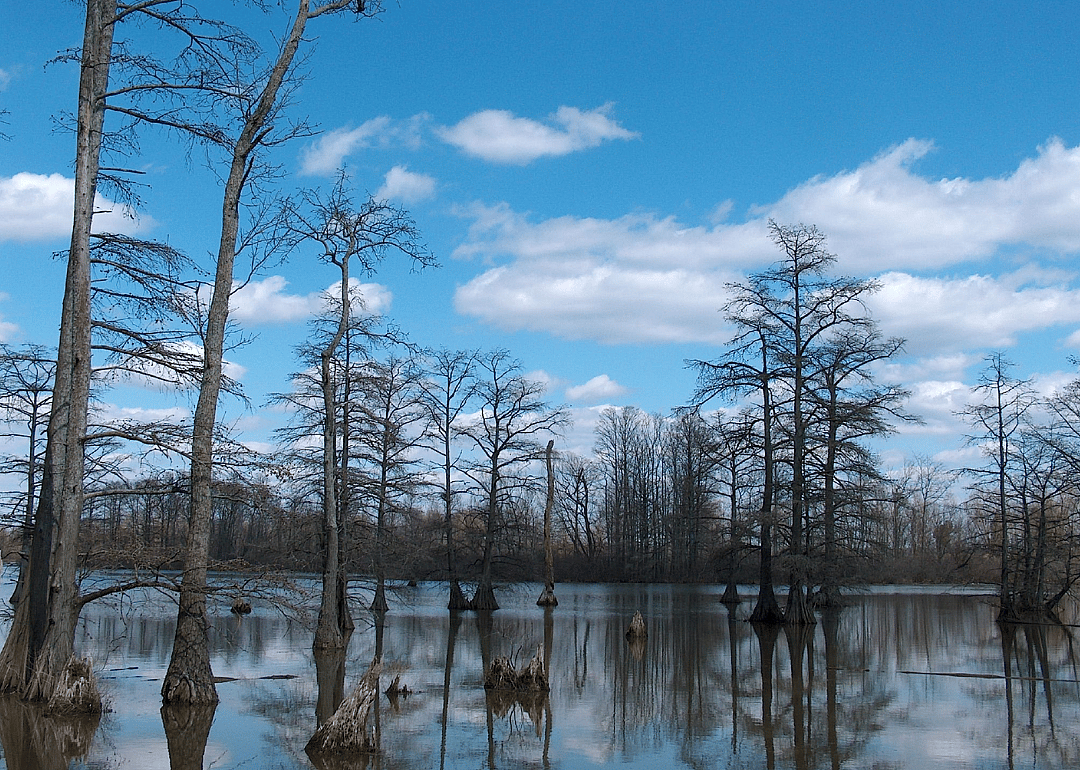 Illinois: Alexander County