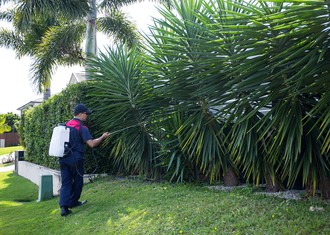 #37. Pest control workers