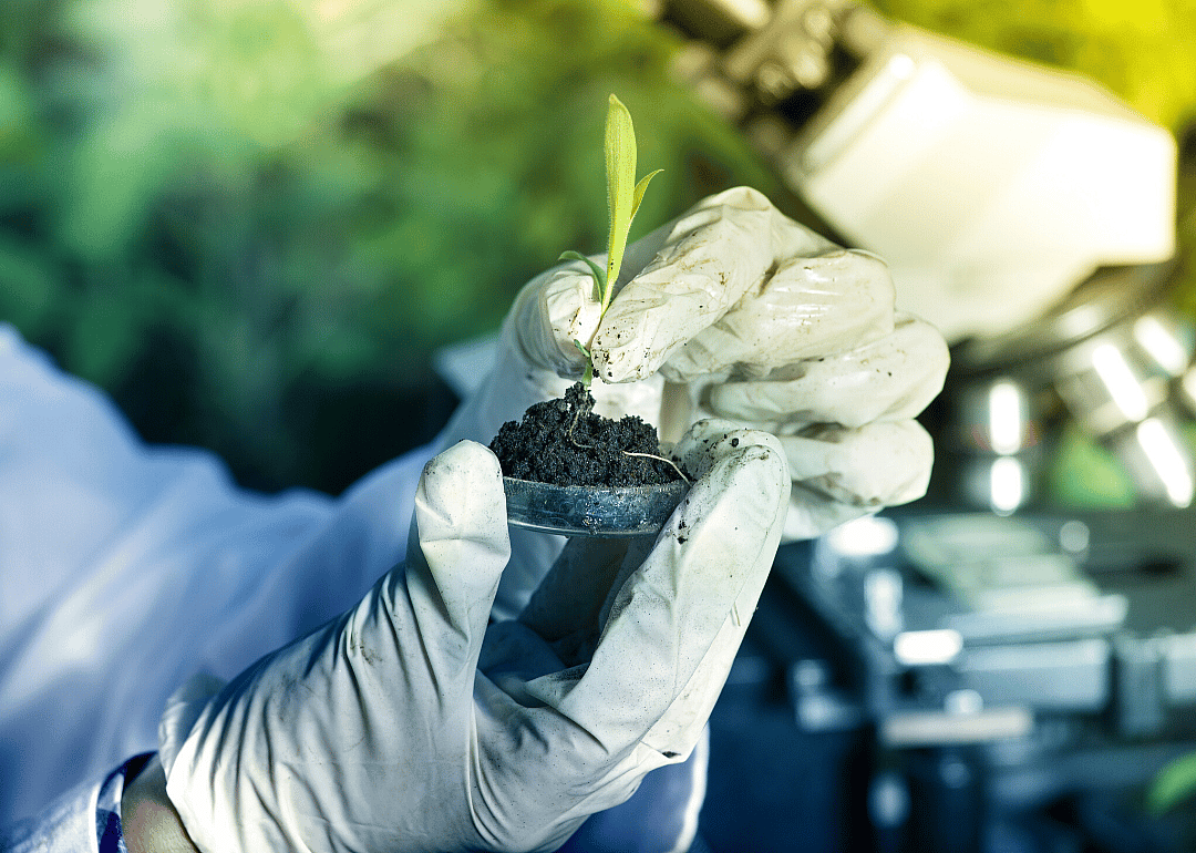 #63. Soil and plant scientists
