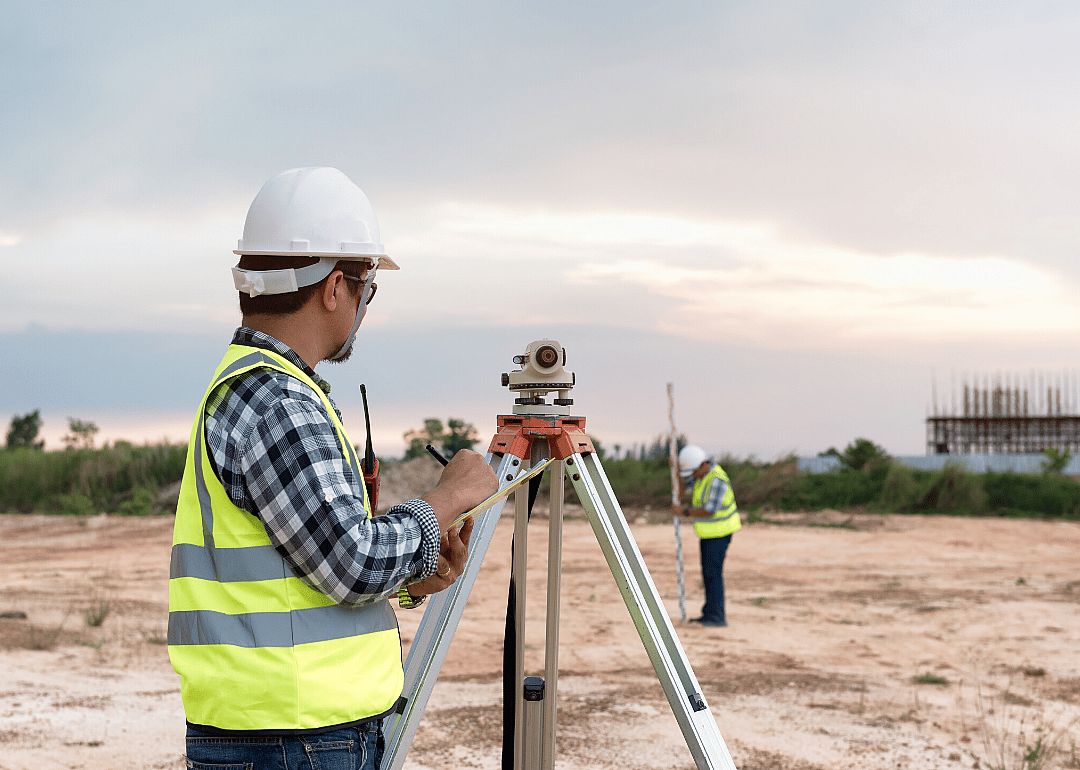 #61. Surveyors