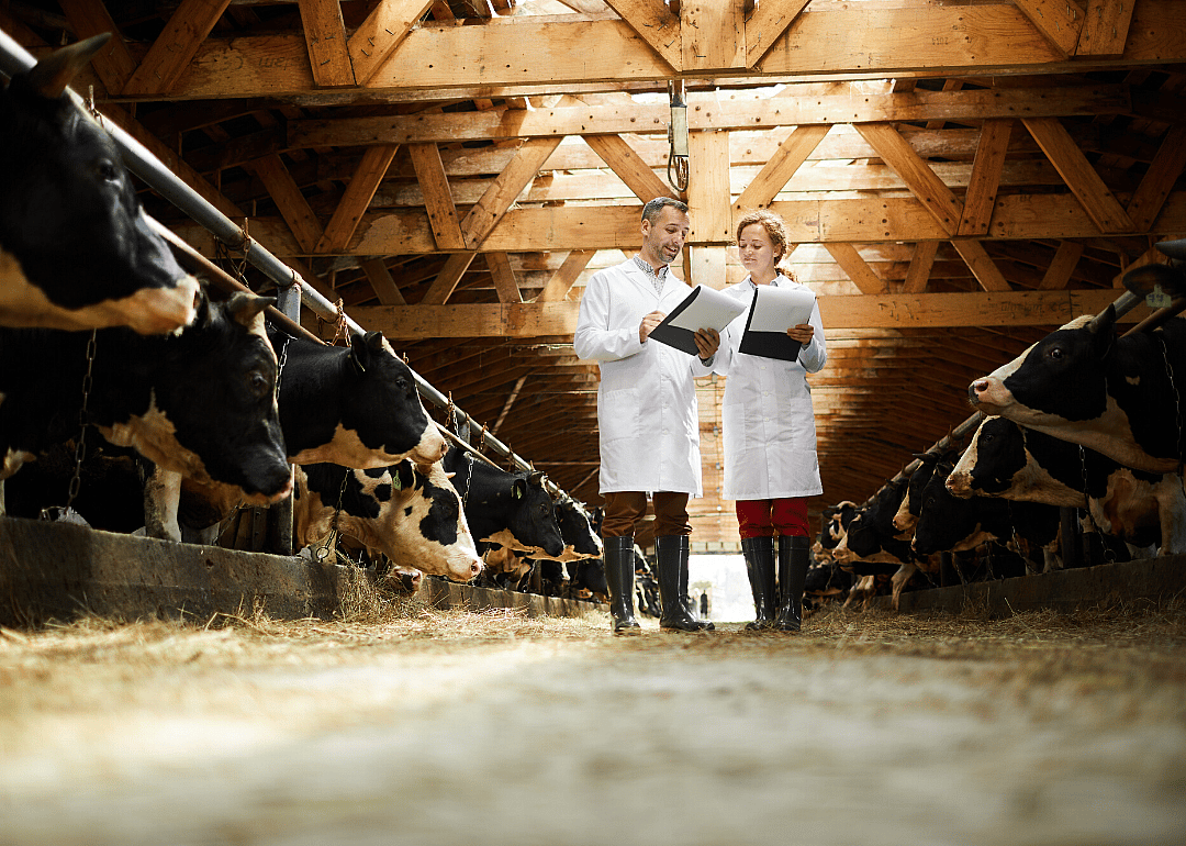 #56. Animal scientists