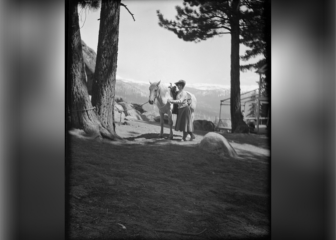 Travel views of Yosemite National Park
