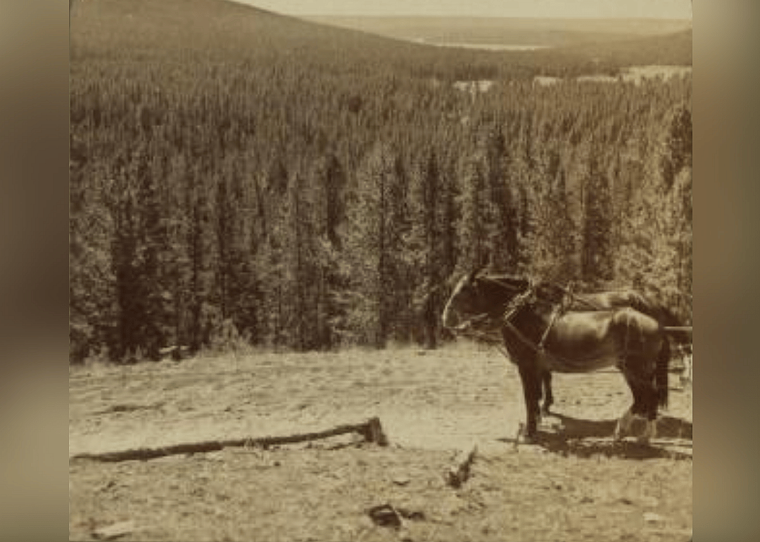 Continental Divide over Shoshone Lake