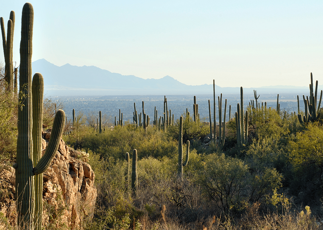 #84. Tucson, Arizona