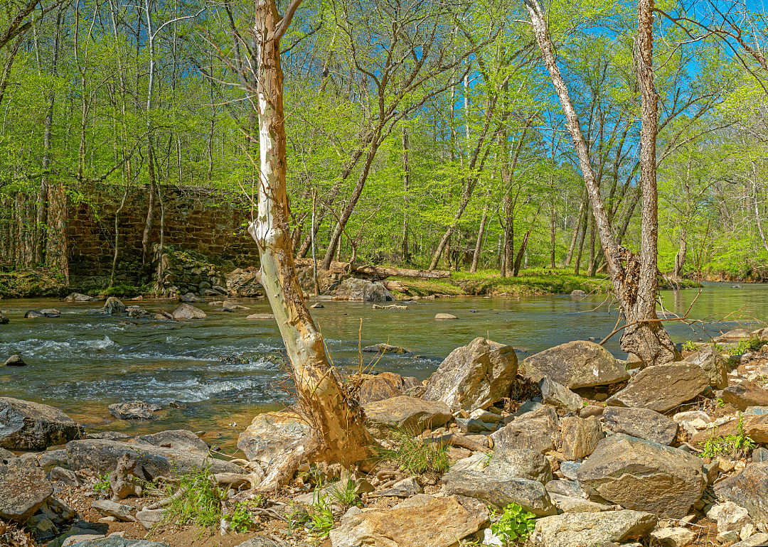 #72. Durham, North Carolina