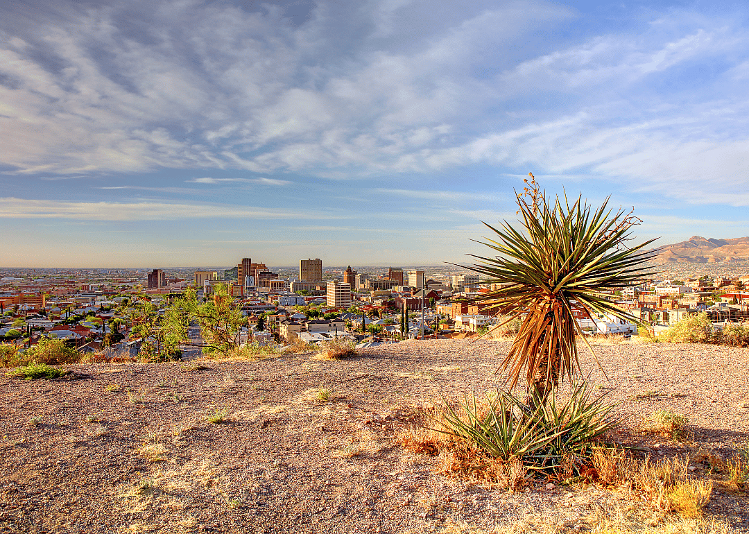 #66. El Paso, Texas (tie)
