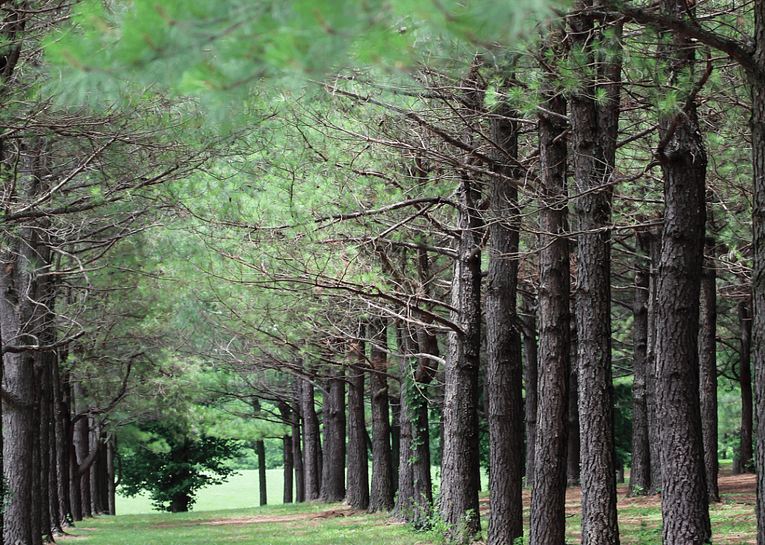 #62. Lexington, Kentucky