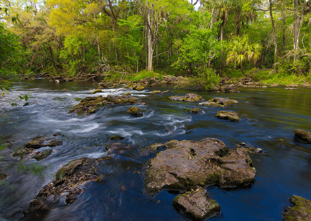#56. Tampa, Florida (tie)
