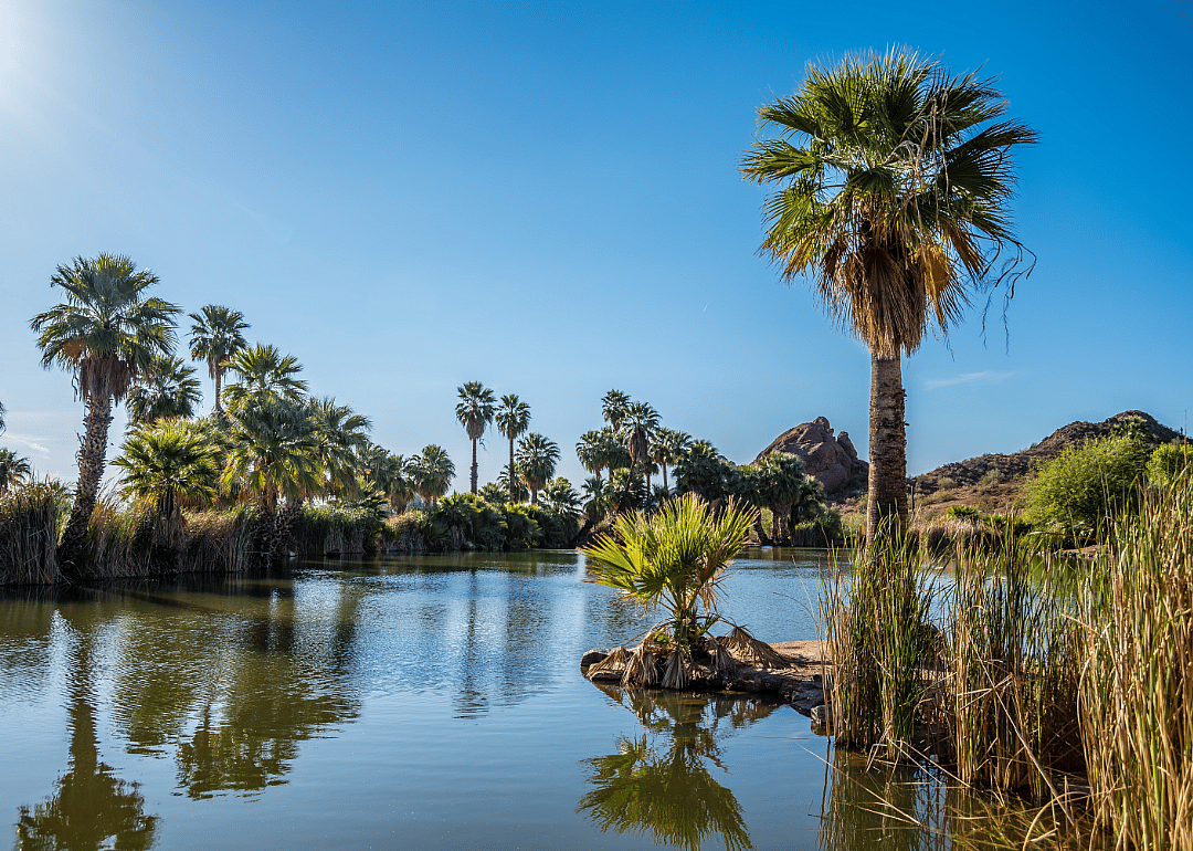 #56. Phoenix, Arizona (tie)