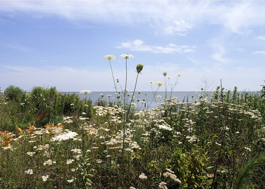 #46. Chesapeake, Virginia