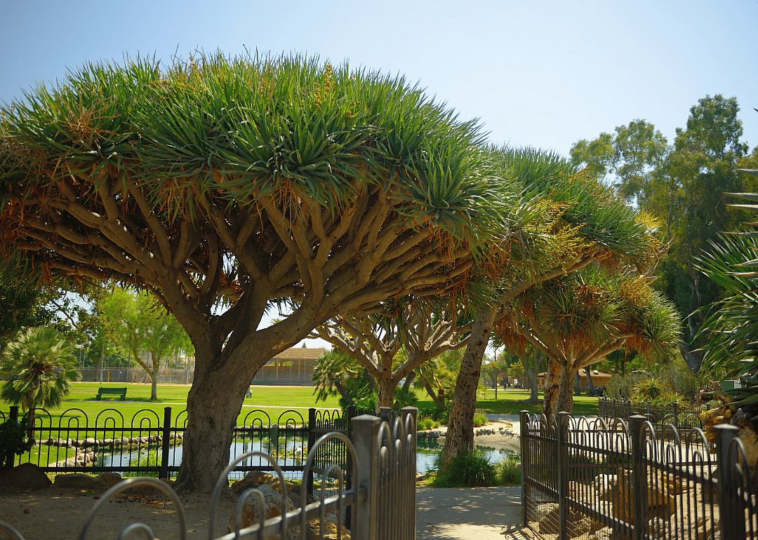 #45. Anaheim, California