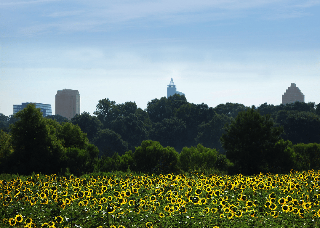 #31. Raleigh, North Carolina
