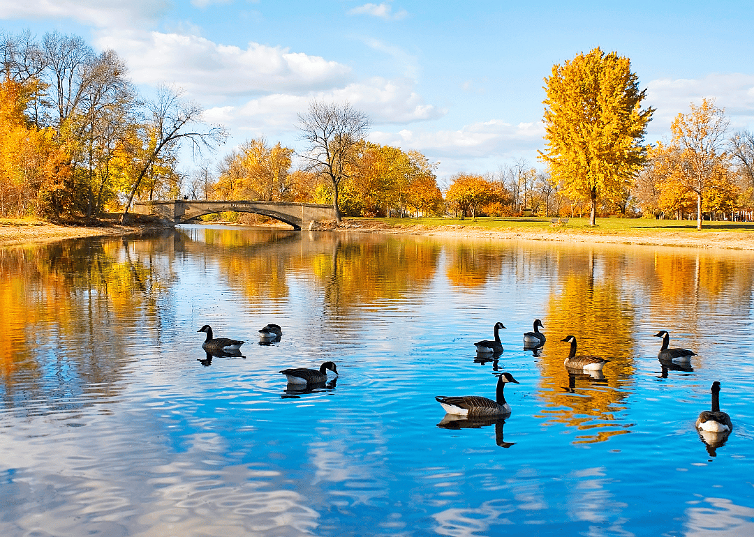 #12. Madison, Wisconsin
