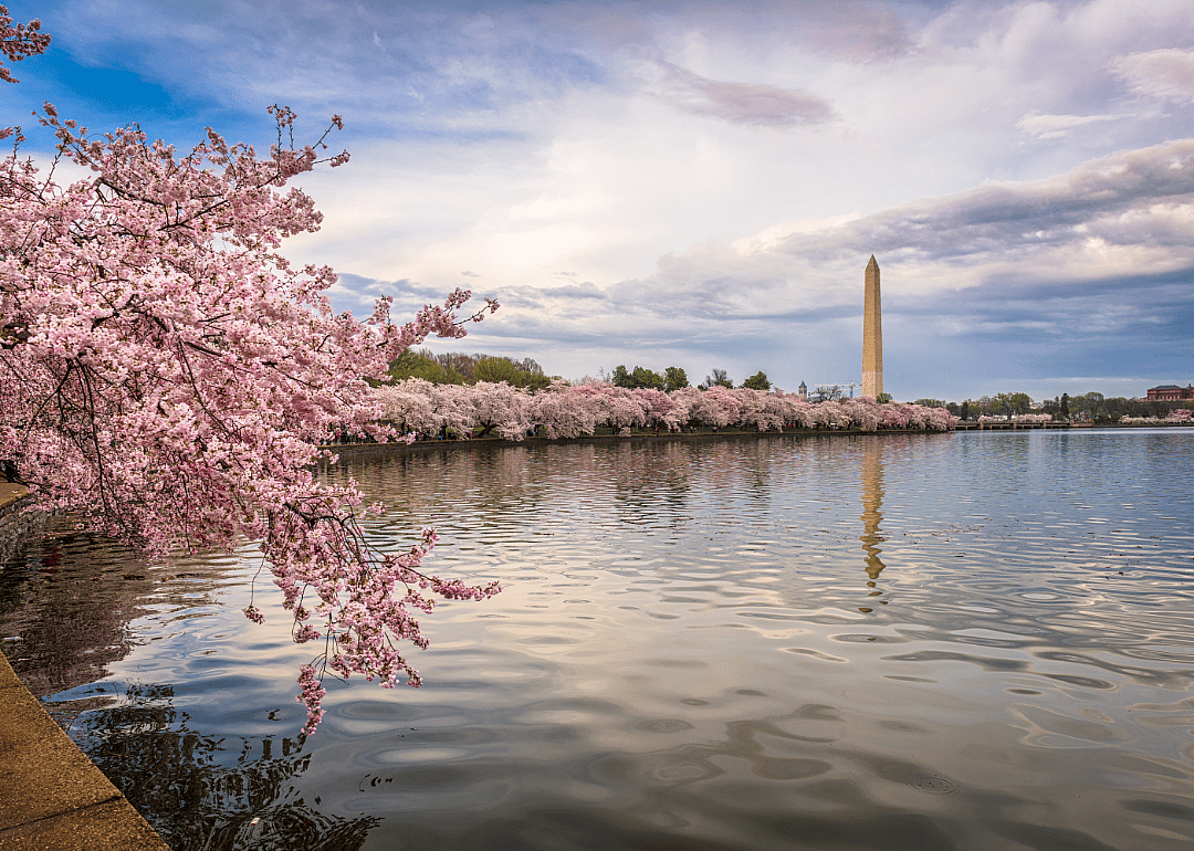 #2. Washington D.C.