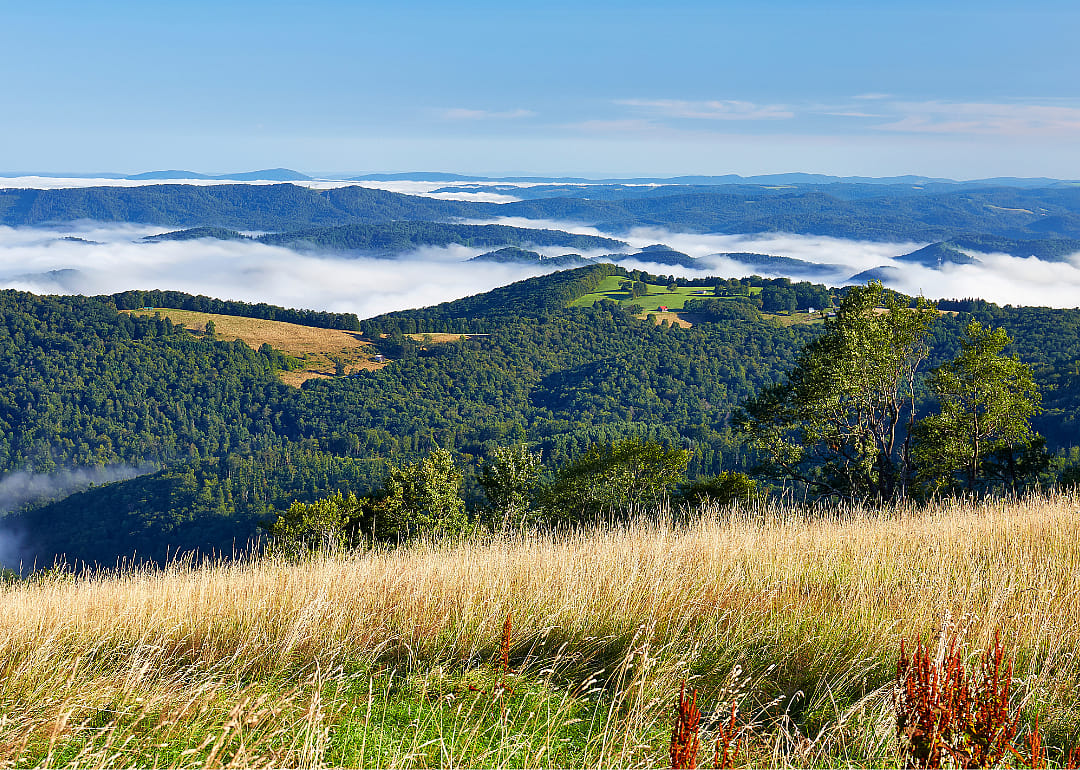 #7. Tucker County