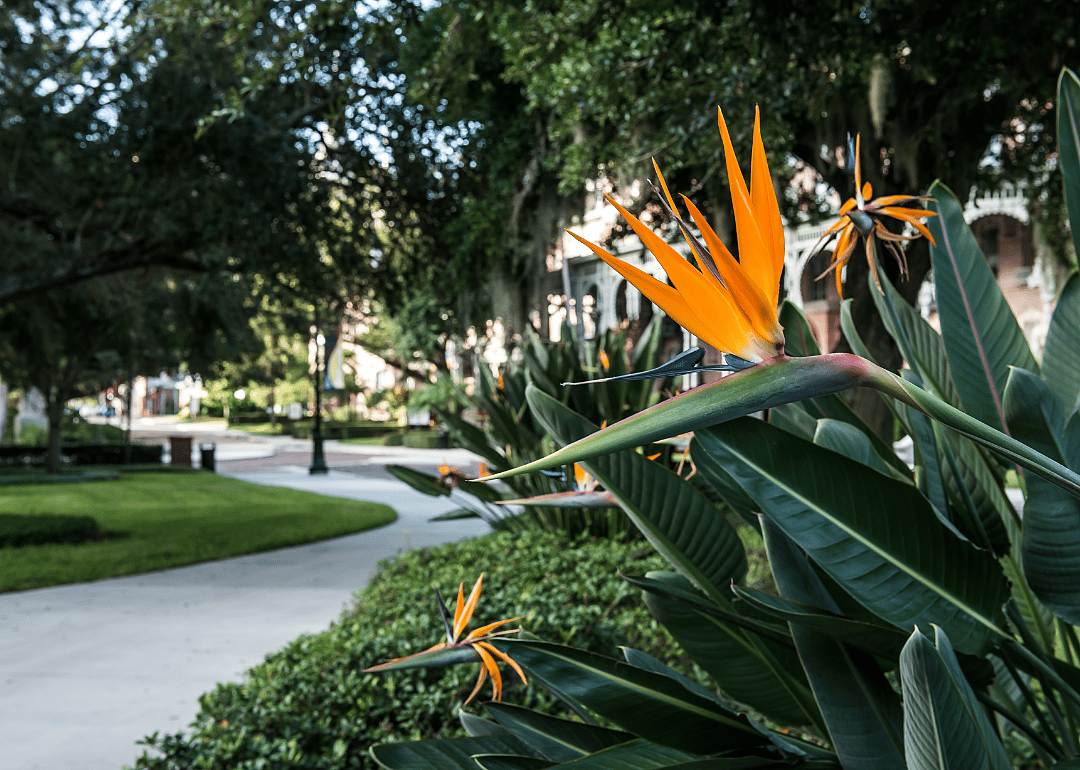 #20. Tampa, FL