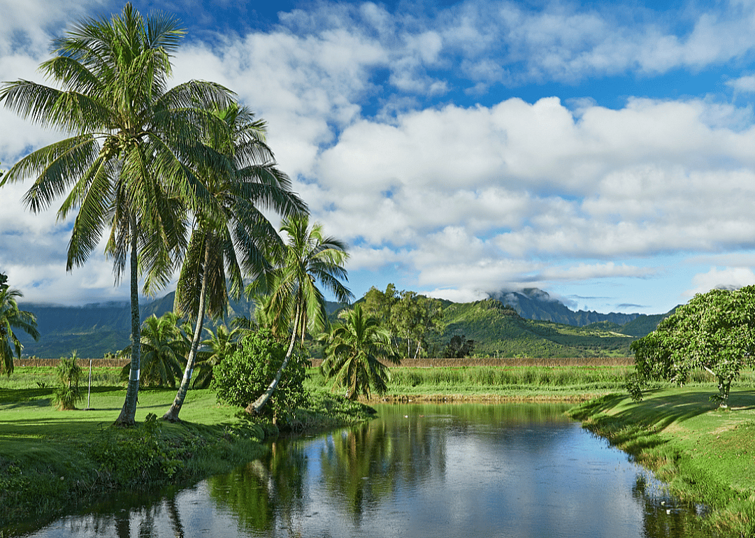 Hawai'i: Maunawili
