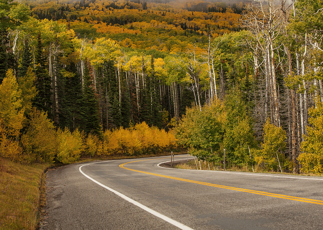 Utah: Highland