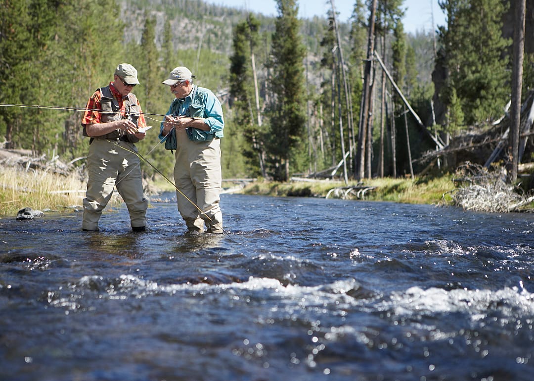 #20. Montana