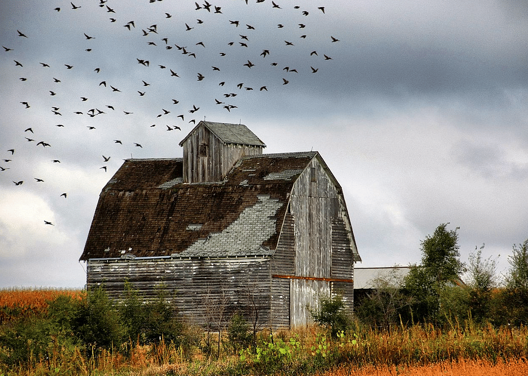 #2. Story County