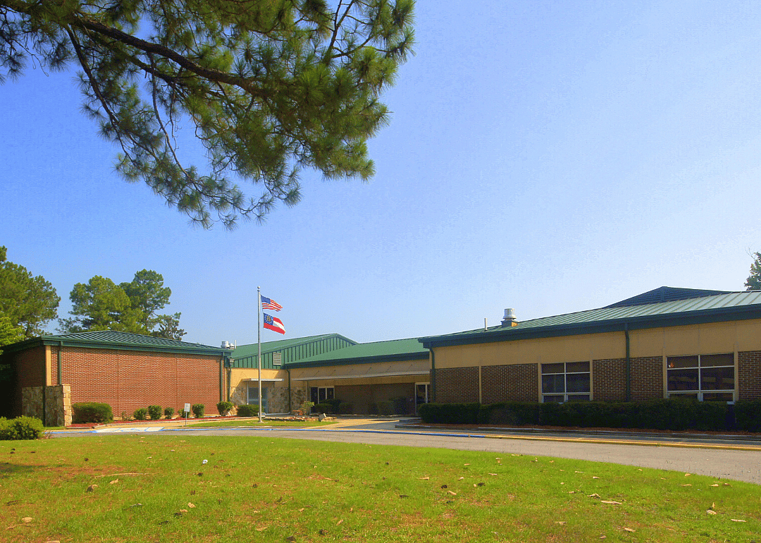 #20. Screven County