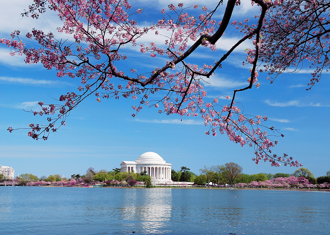 Washington D.C.