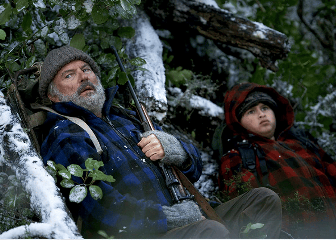 #35. Hunt for the Wilderpeople (2016)