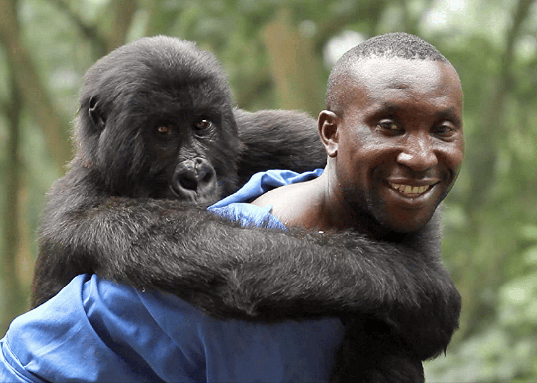 #17. Virunga (2014)