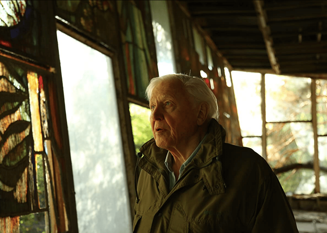 #1. David Attenborough: A Life on Our Planet (2020)