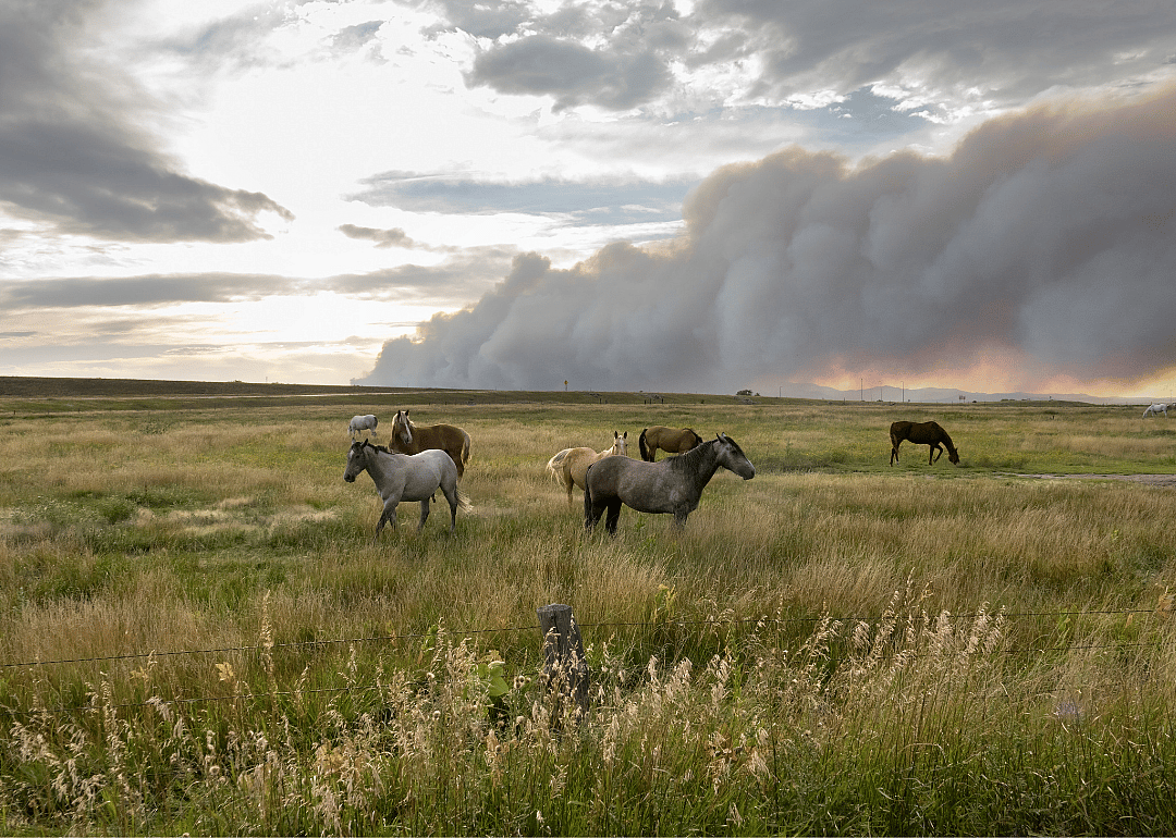 #12. Platte County, WY
