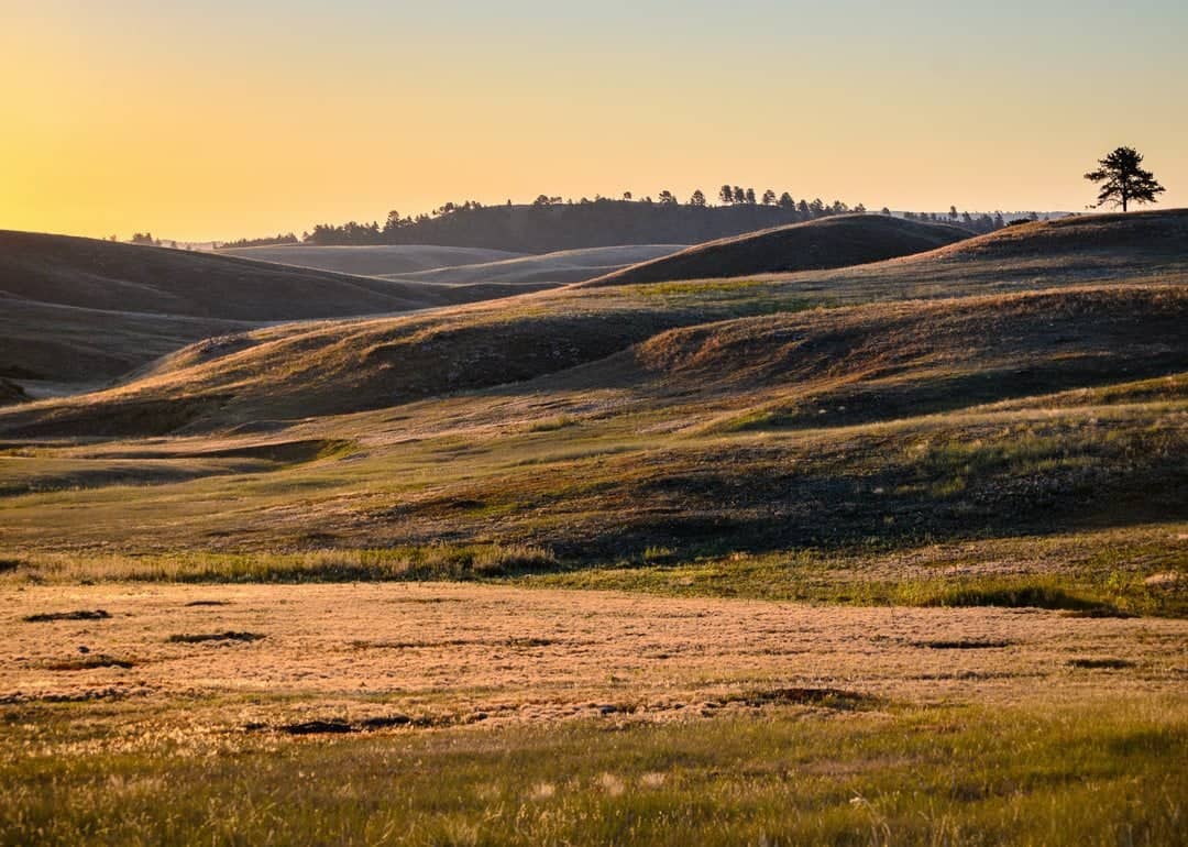 #17. Wind Cave National Park (South Dakota)