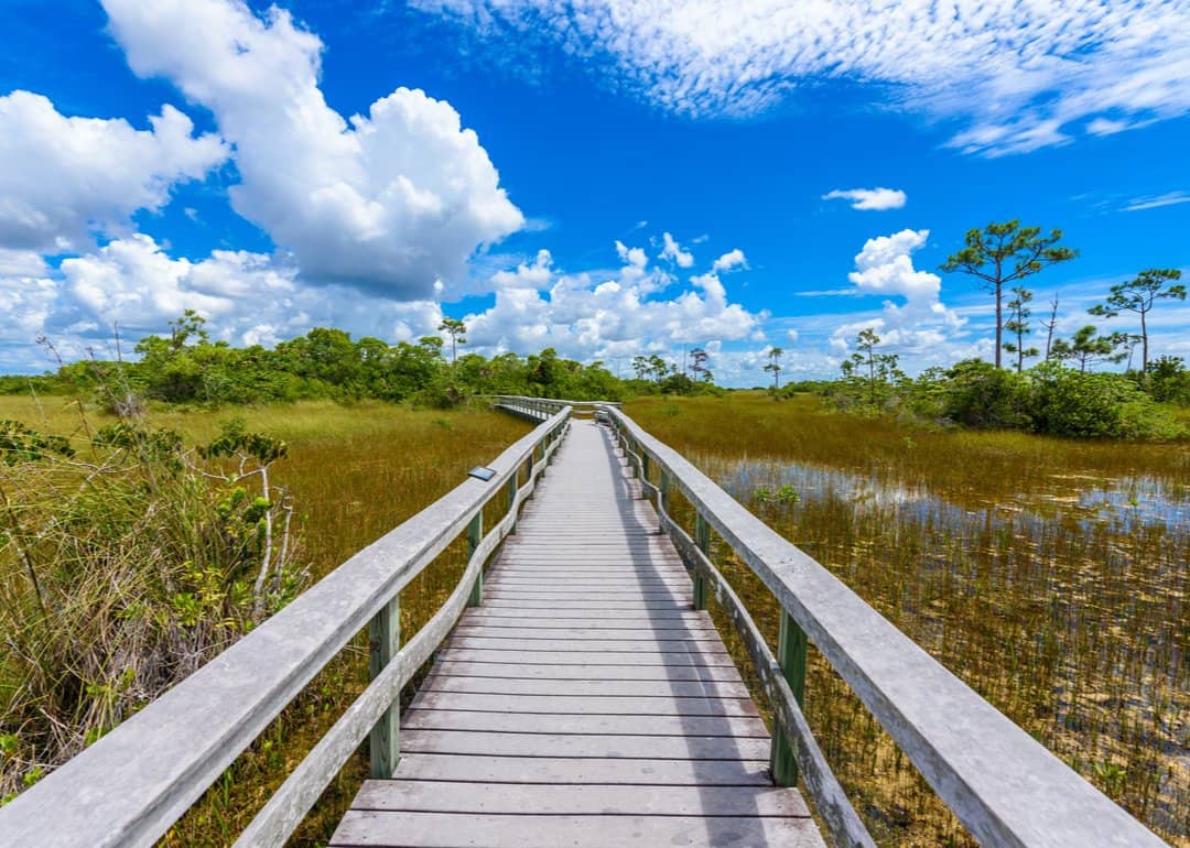 #14. Everglades National Park (Florida)
