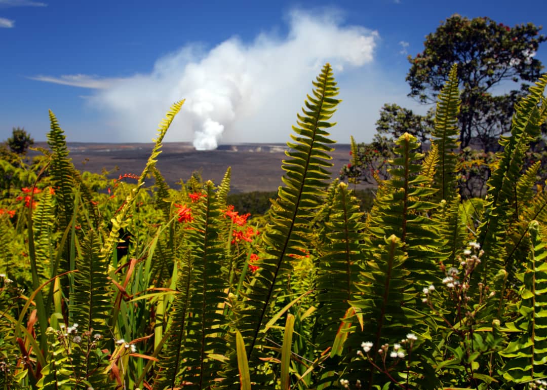 #62. Hawaiʻi Volcanoes National Park (Hawaii)