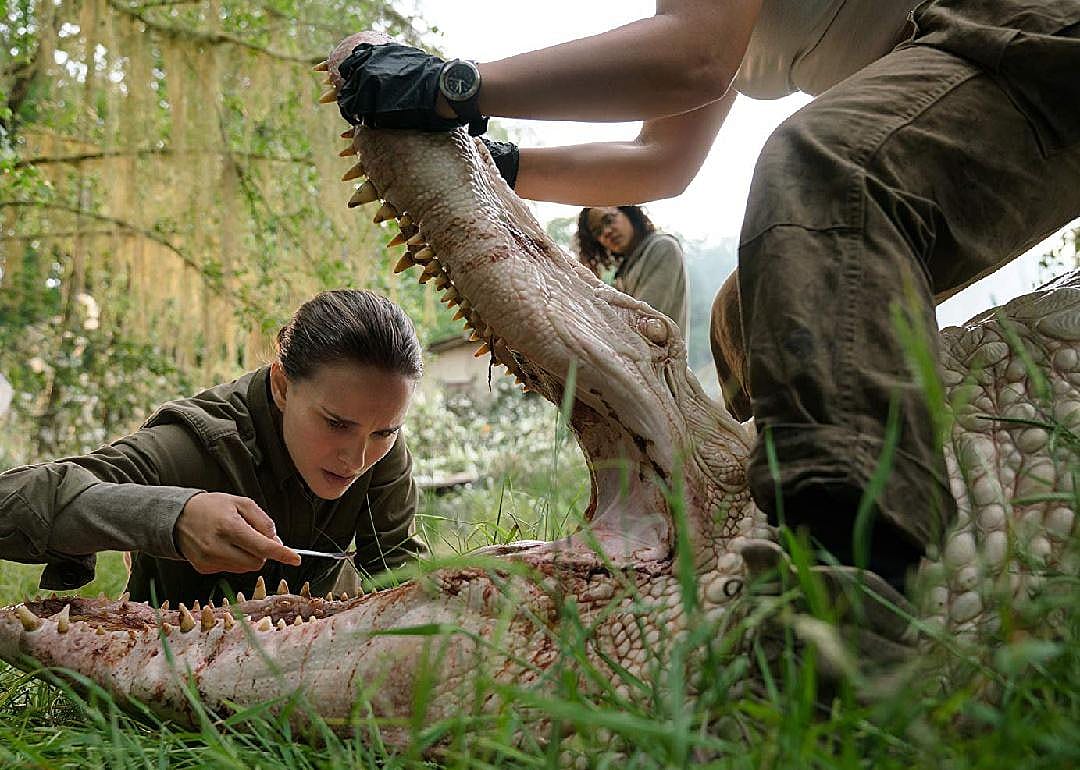 #25. Annihilation (2018)