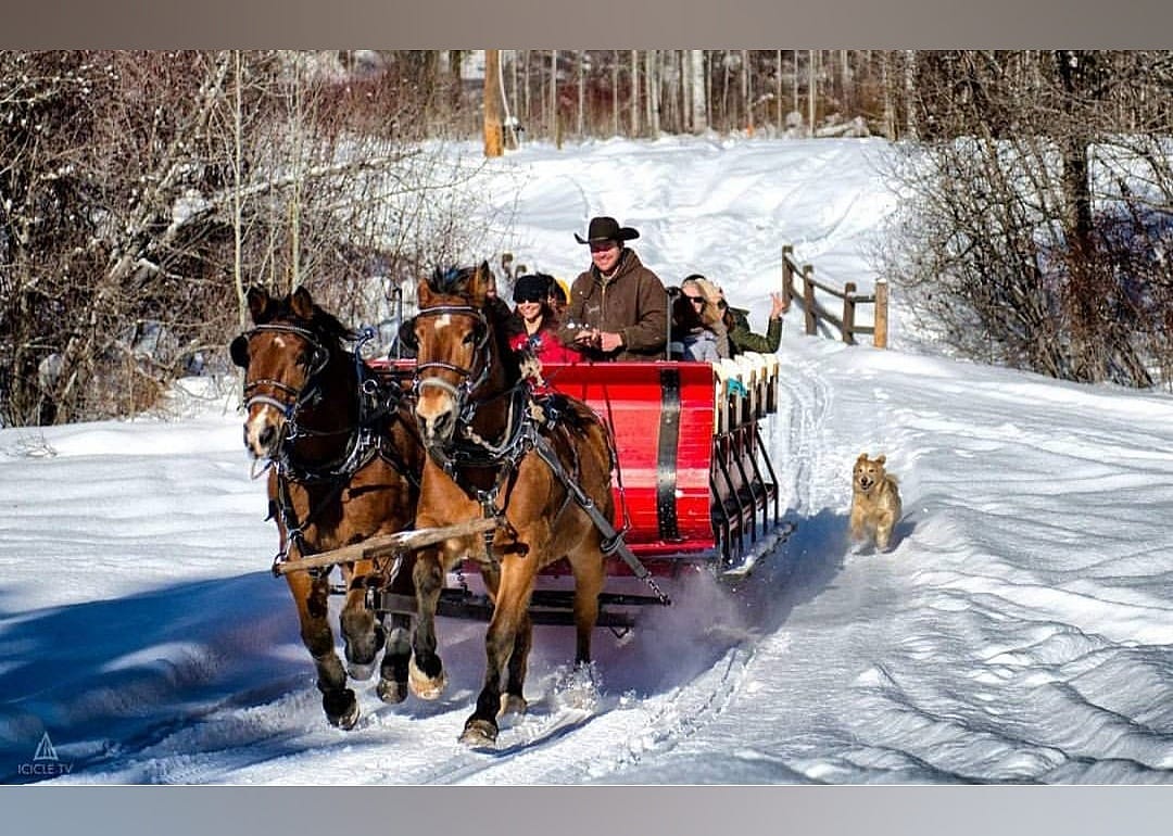 #25. Leavenworth Sleigh Rides
