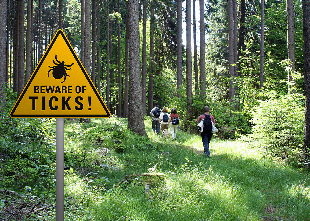 Rocky Mountain spotted fever