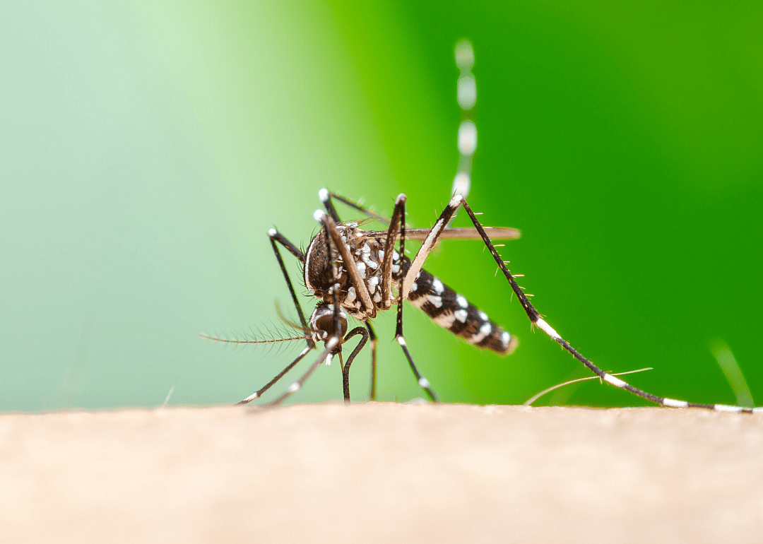 West Nile virus