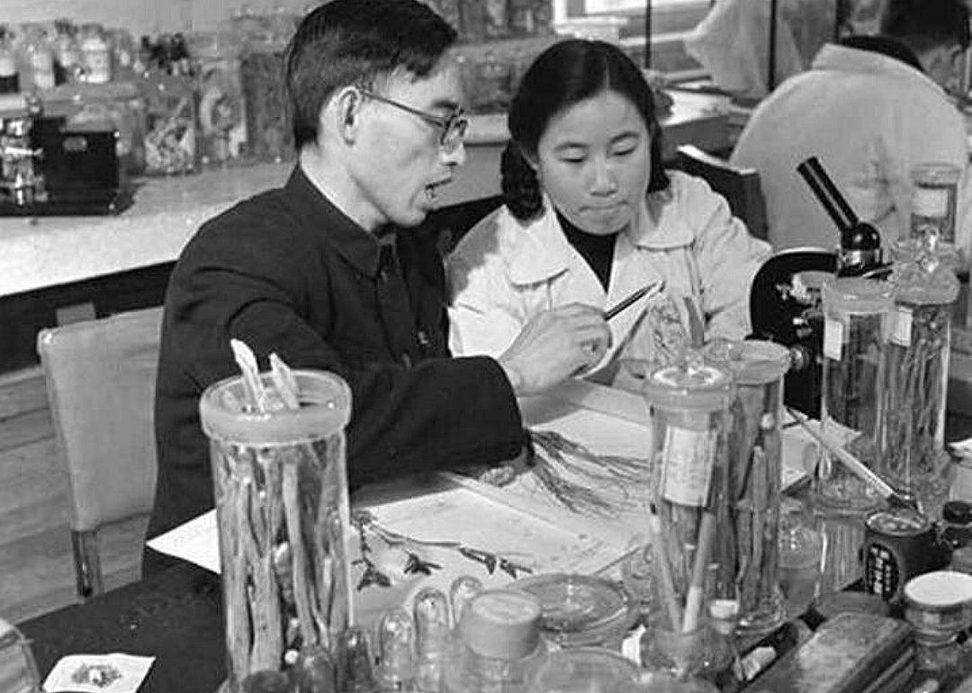 1971: Discovery of antimalarial compound