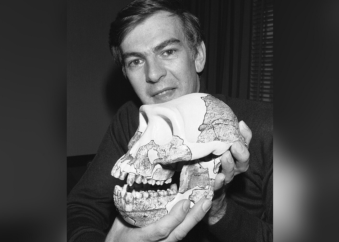 1974: First australopithecus fossil