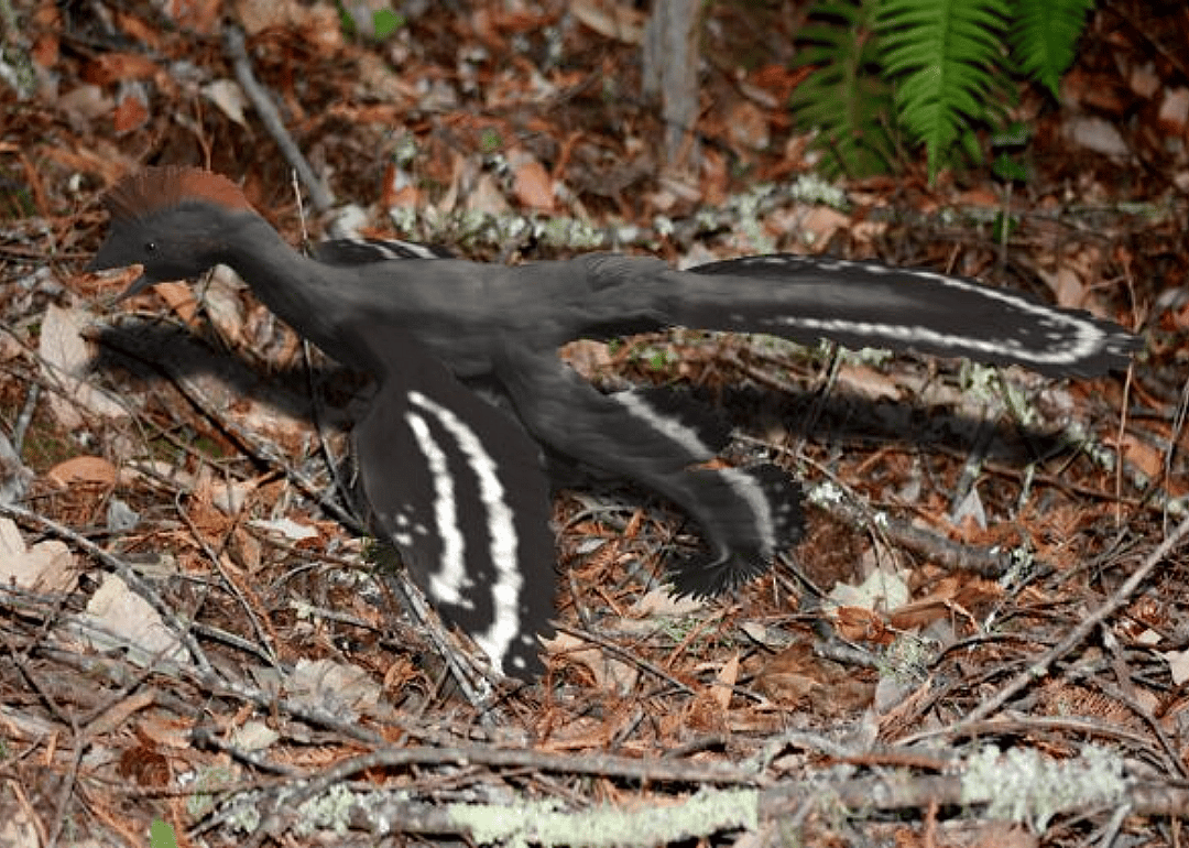 2010: First full-body color rendering of a dinosaur