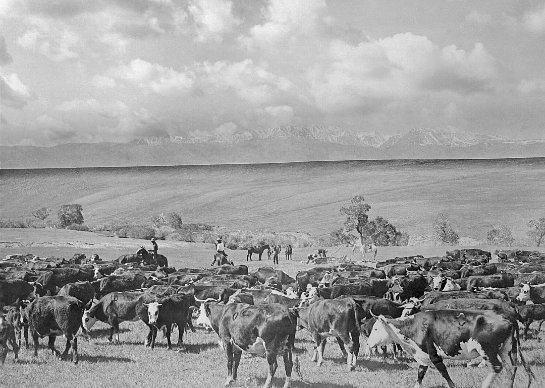 1920: Wyoming