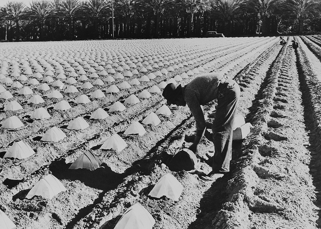 1920: California